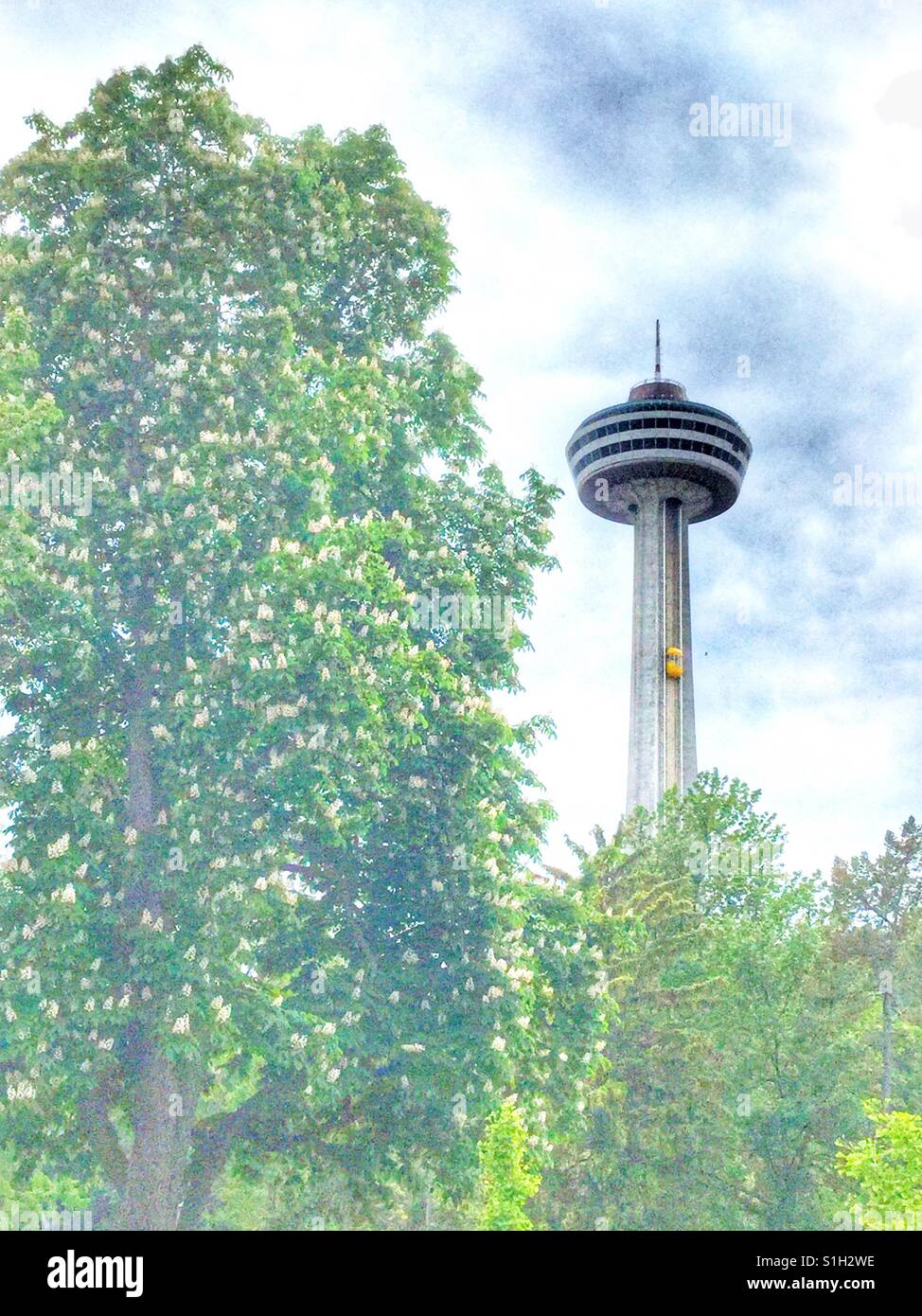 Skylon Tower in Niagara Falls. Stockfoto