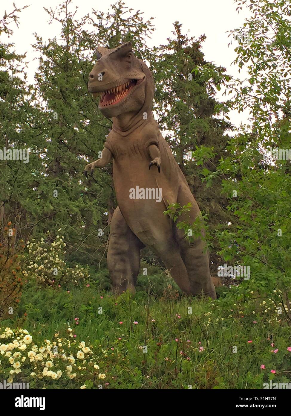 Pre-historische Park, Zoo von Calgary, Tyrannosaurus rex - Smartphone-aufgenommenes Stockfoto