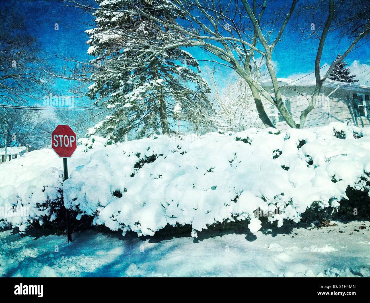 Stop-Schild mit Schnee Stockfoto