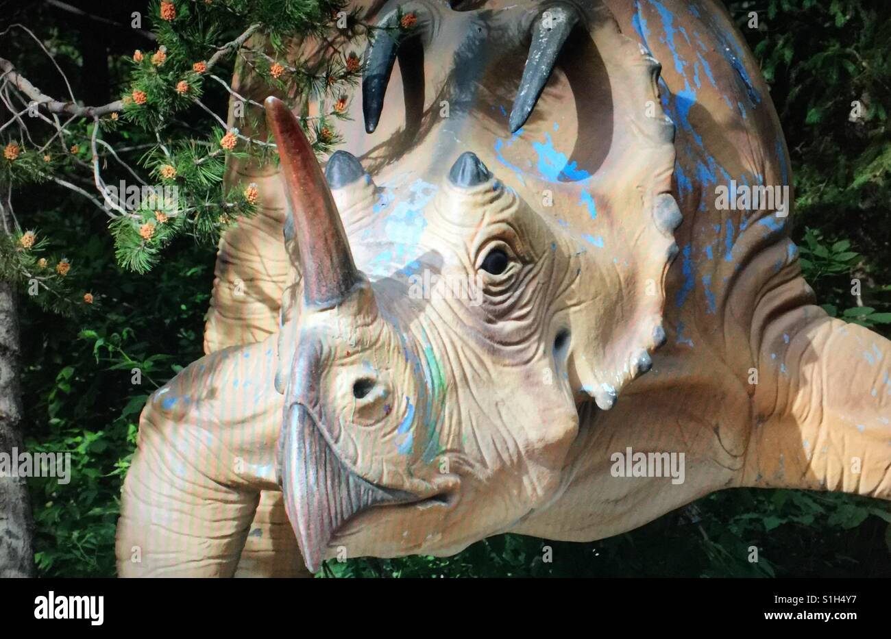 Prähistorischer Park im Zoo von Calgary. - Smartphone-aufgenommenes Stockfoto