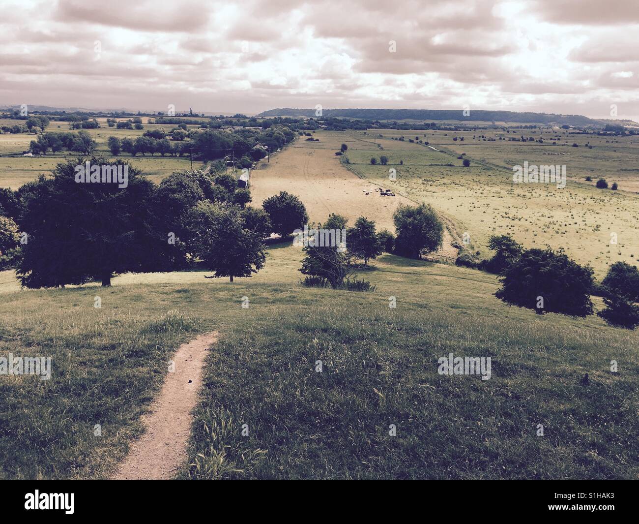 Landschaft von Somerset, England - Smartphone-aufgenommenes Stockfoto