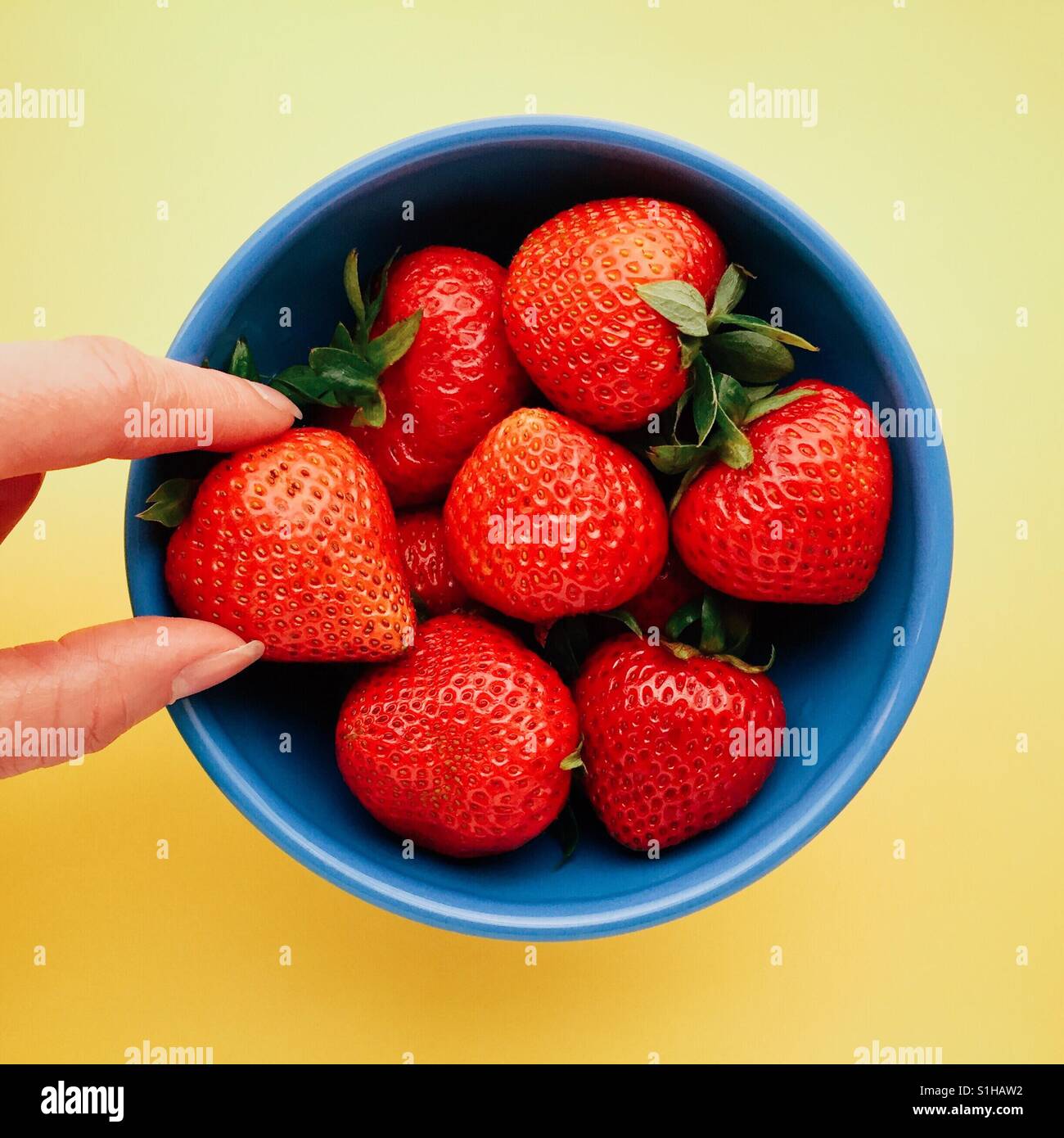 Frau Finger greifen eine Erdbeere aus einer Schüssel Stockfoto