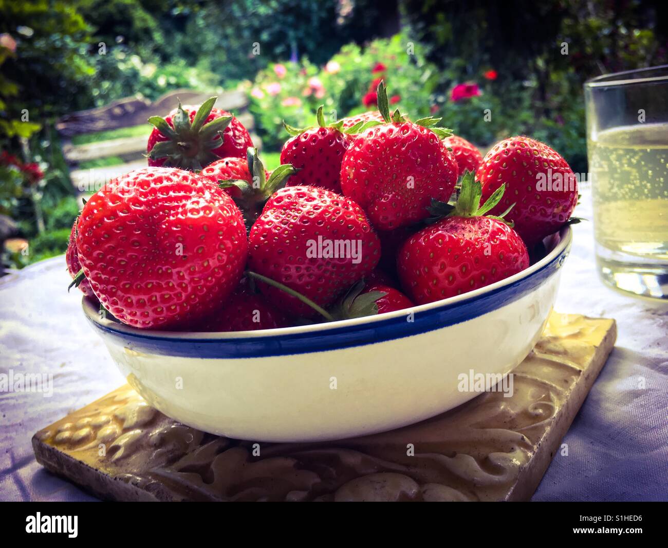 Eine Schale mit frischen Erdbeeren auf einem Tisch in einem englischen Garten. Stockfoto