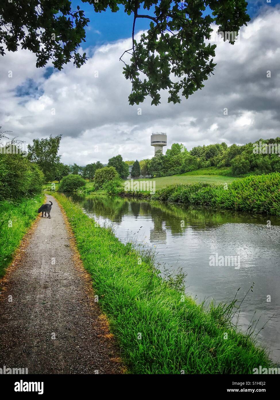 Wanderweg neben Bridgewater Kanal in der Nähe von Daresbury Stockfoto