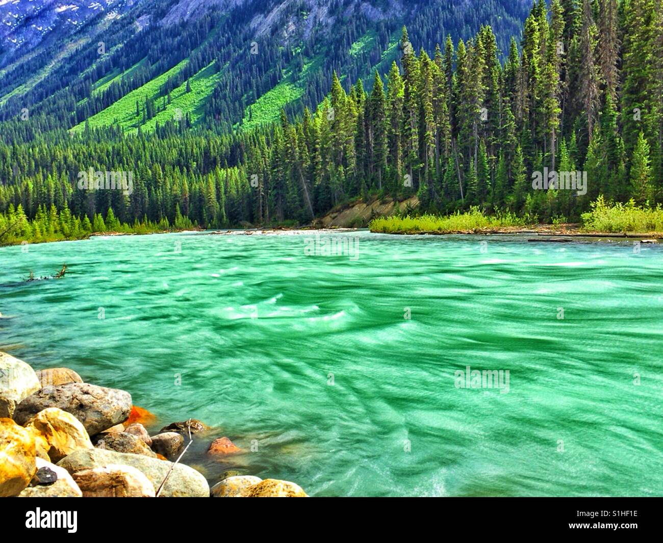 Simpson Fluss, Kootenay National Park, BC, - Smartphone-aufgenommenes Stockfoto