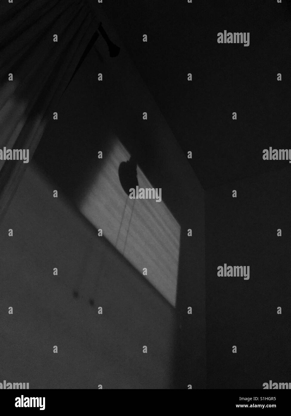 Schatten in der Nacht an einer Wand Stockfoto