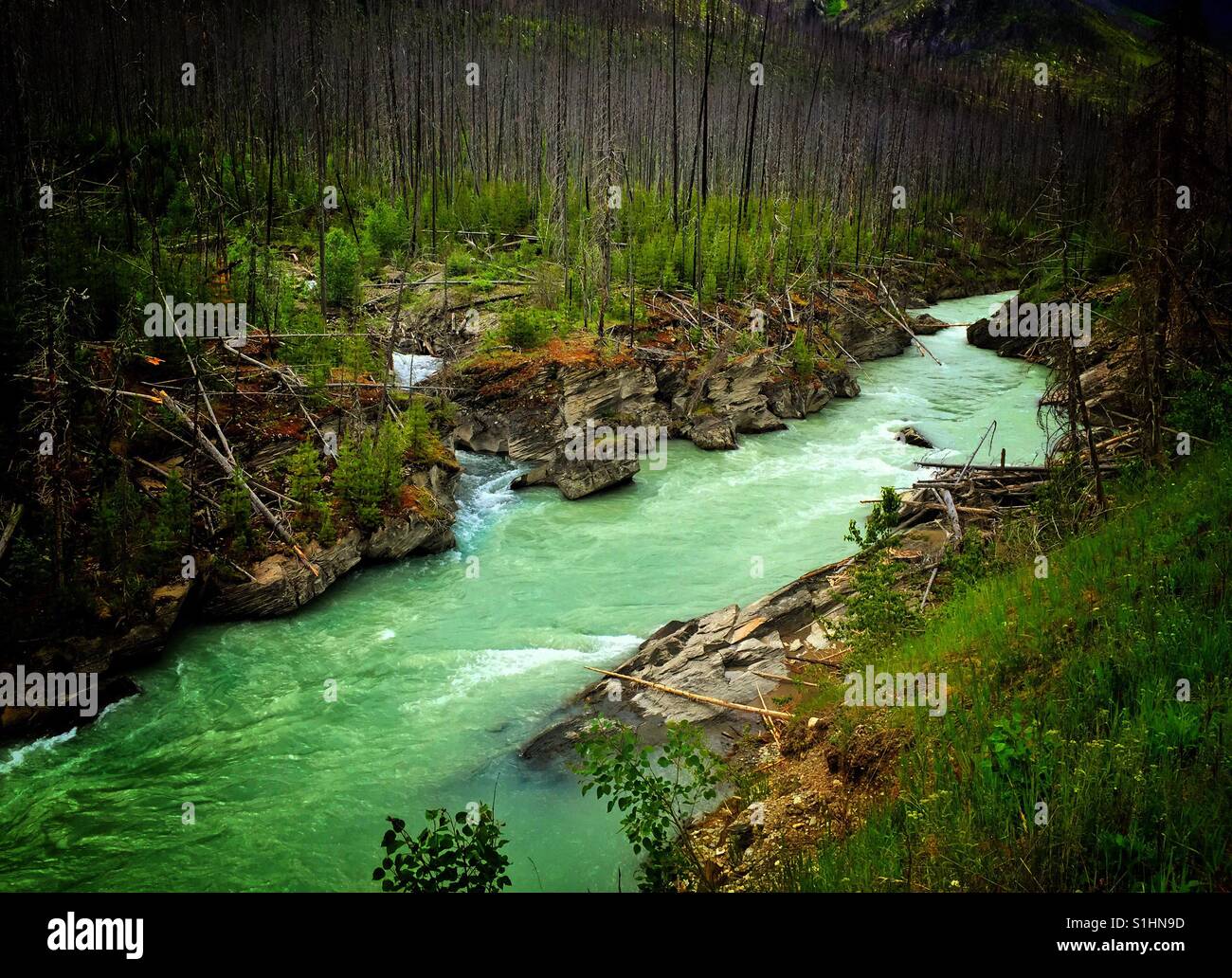 Simpson Fluss, Kootenay National Park, Britisch-Kolumbien, Kanada, - Smartphone-aufgenommenes Stockfoto
