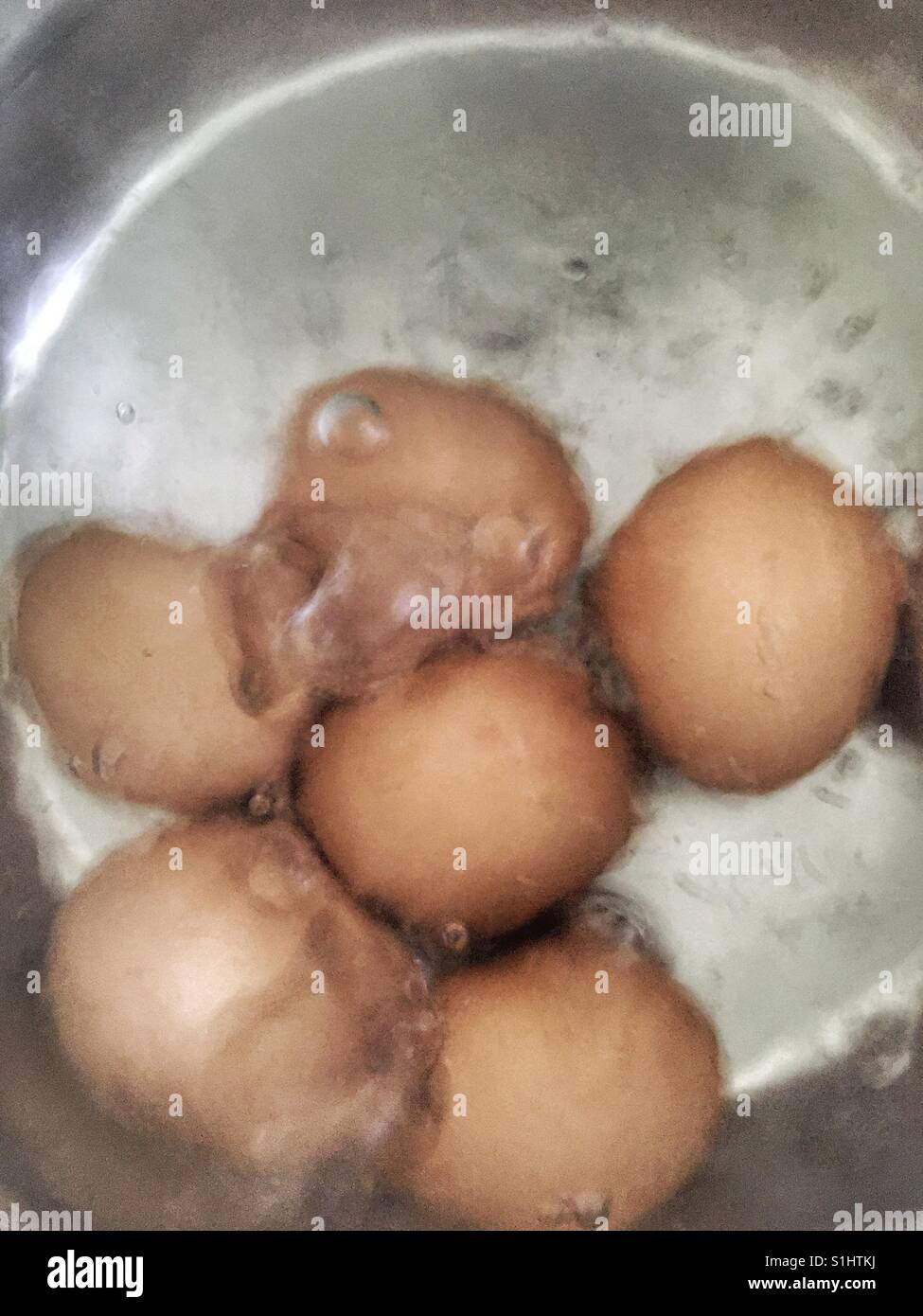 Das Sieden von Eiern. Stockfoto