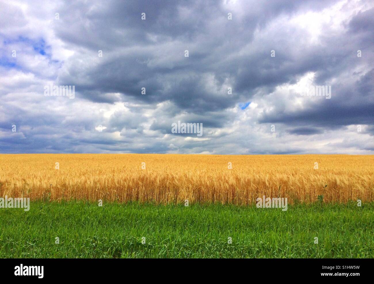 Sommer-Minimalismus - Smartphone-aufgenommenes Stockfoto