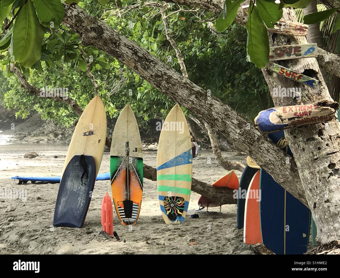 Costa Rica Surfbretter Stockfoto