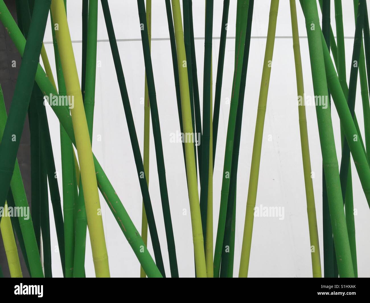 Abstraktes Bild. Grünen Sticks auf weißem Hintergrund. Grüne Stangen ein einem weissen Hintergrund. Stockfoto