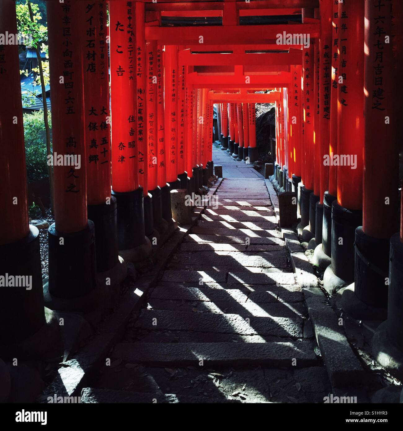 Berühmte Vermillion Torii-Tore im Fushimi Inari-Schrein in Kyoto Japan Stockfoto