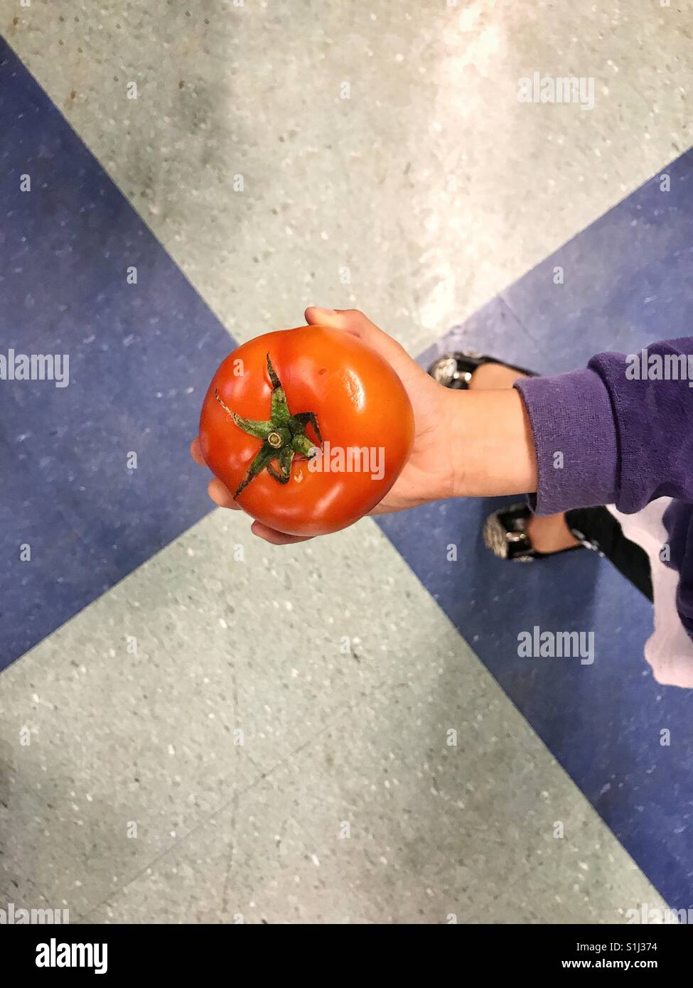Kid' Hand, die eine Tomate - Smartphone-aufgenommenes Stockfoto