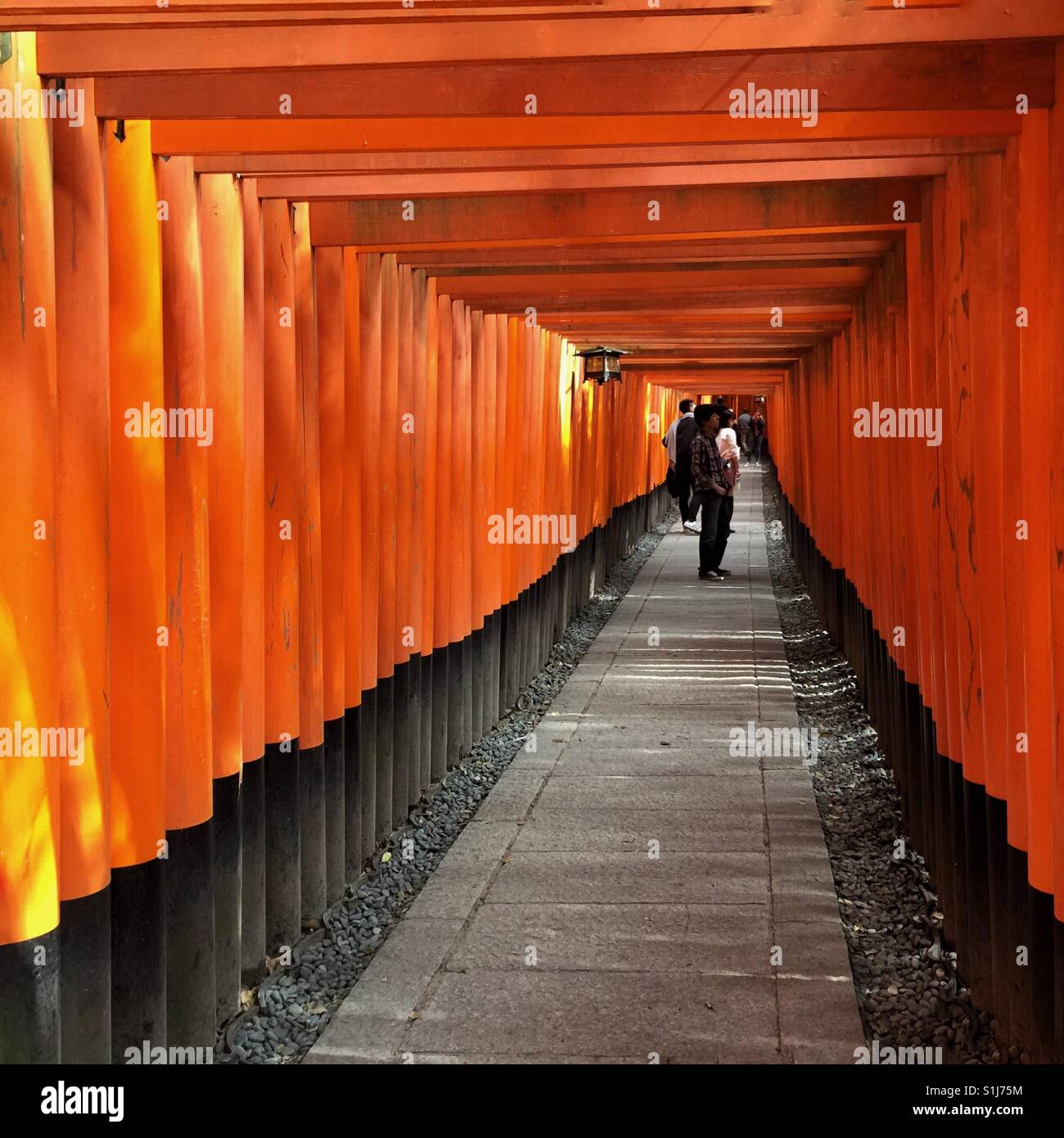 Ein Spaziergang durch Vermillion Torii-Tore in Fushimi Inari in Kyoto Stockfoto