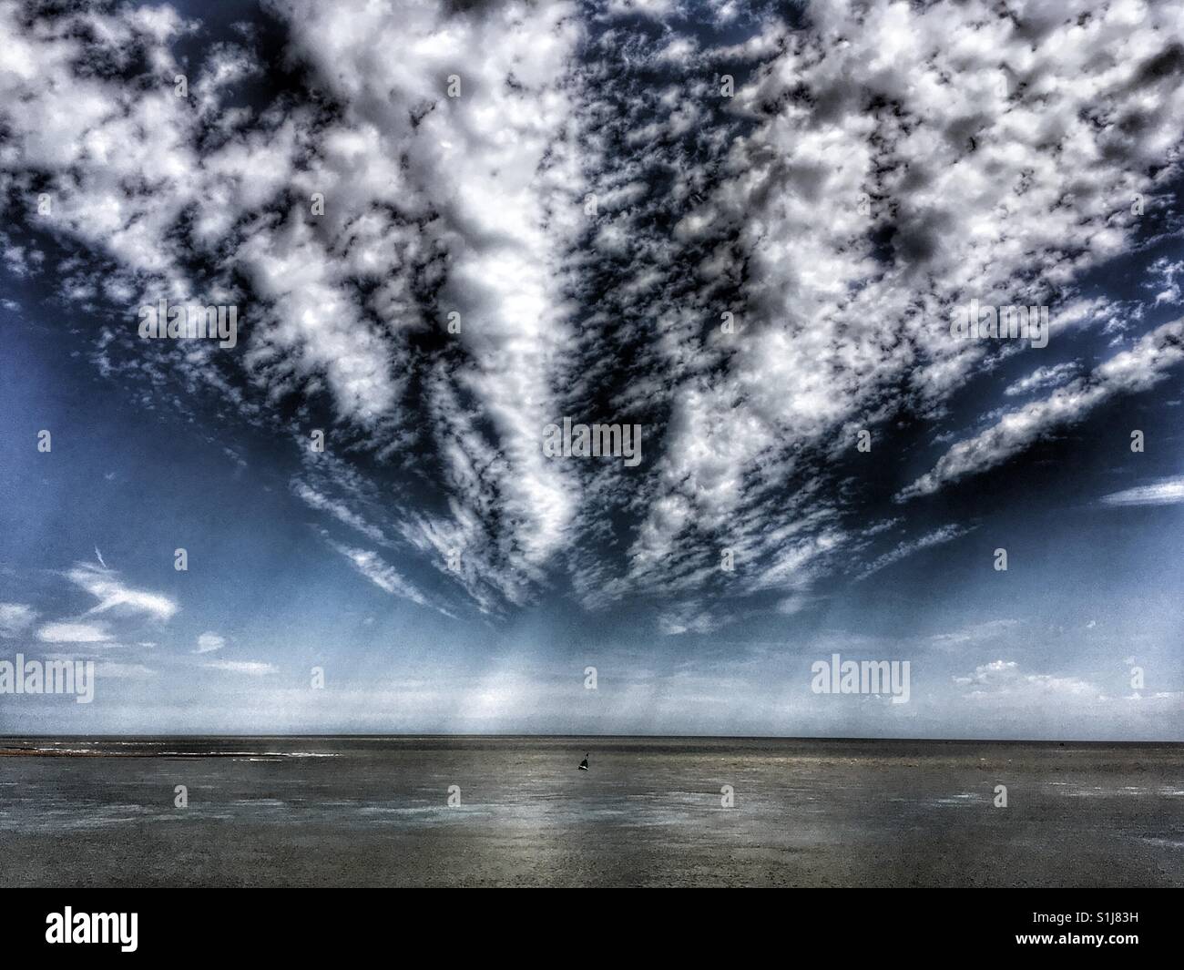 Nordsee - Smartphone-aufgenommenes Stockfoto