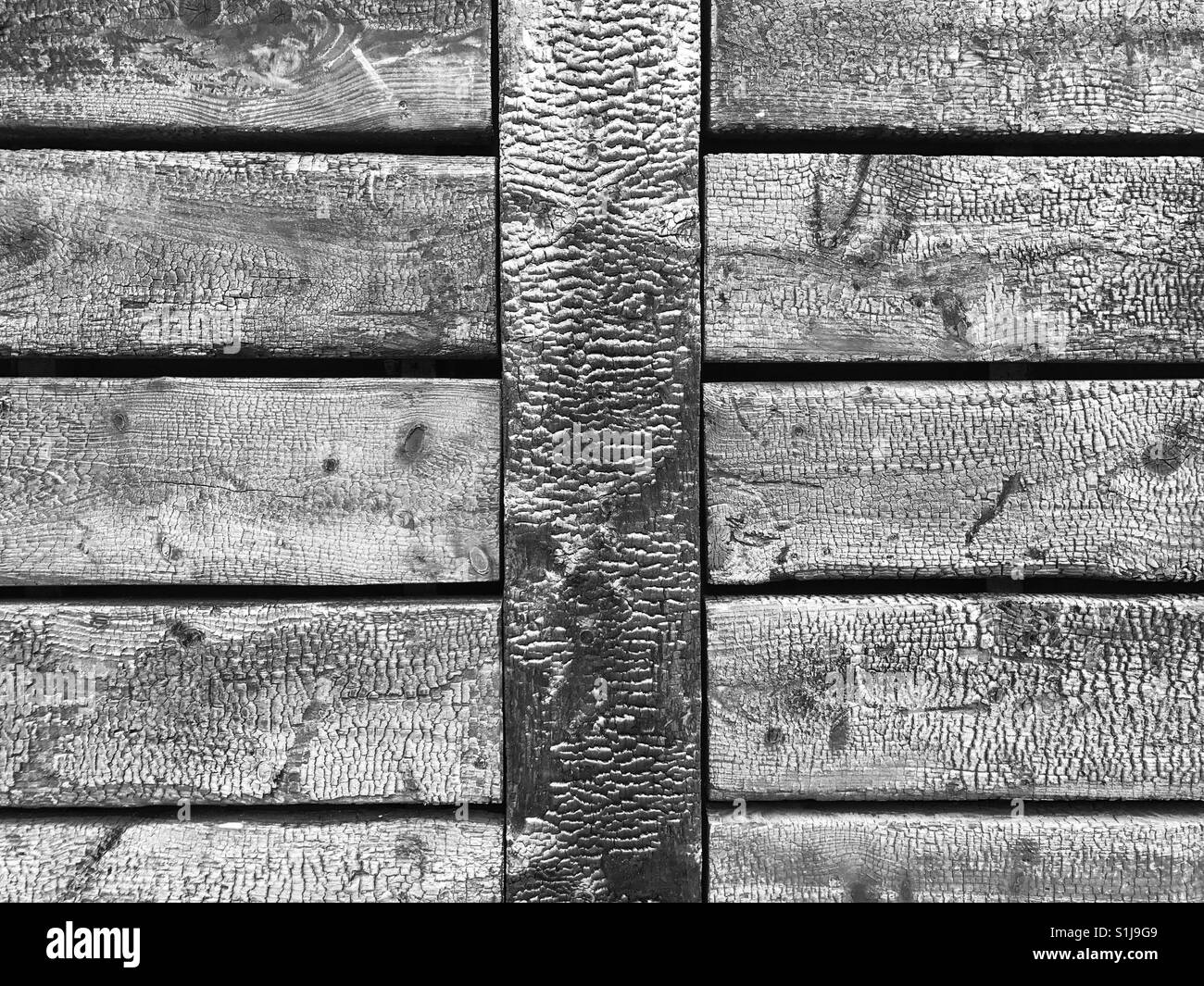 Verkohlte Holzverkleidung an der Außenseite eines Gebäudes auf der Isle of Mull, Schottland. Stockfoto