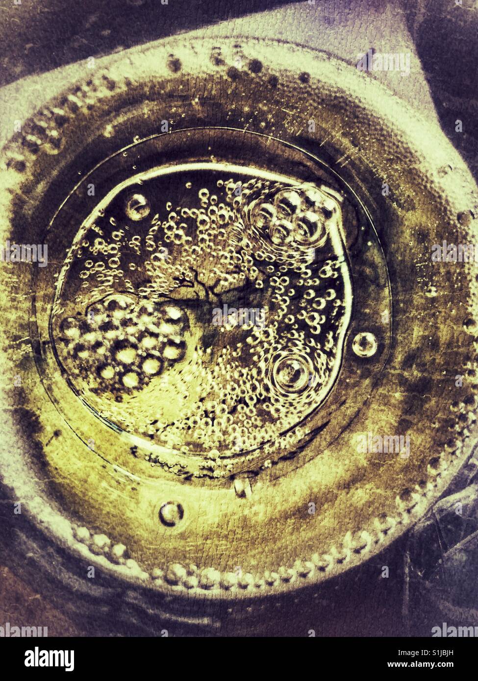 Cava im Glas, hoher Winkel Ansichtspunkt Stockfoto