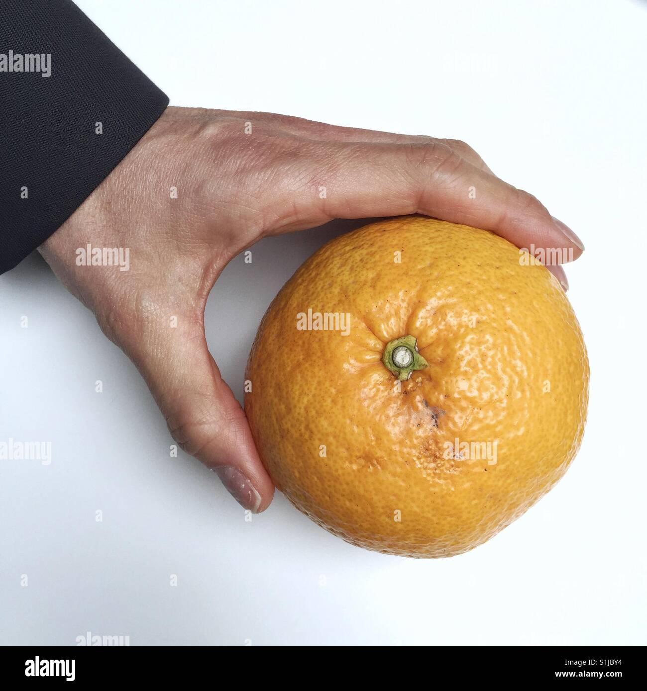 Hand, die großen japanischen Satsuma orange Stockfoto