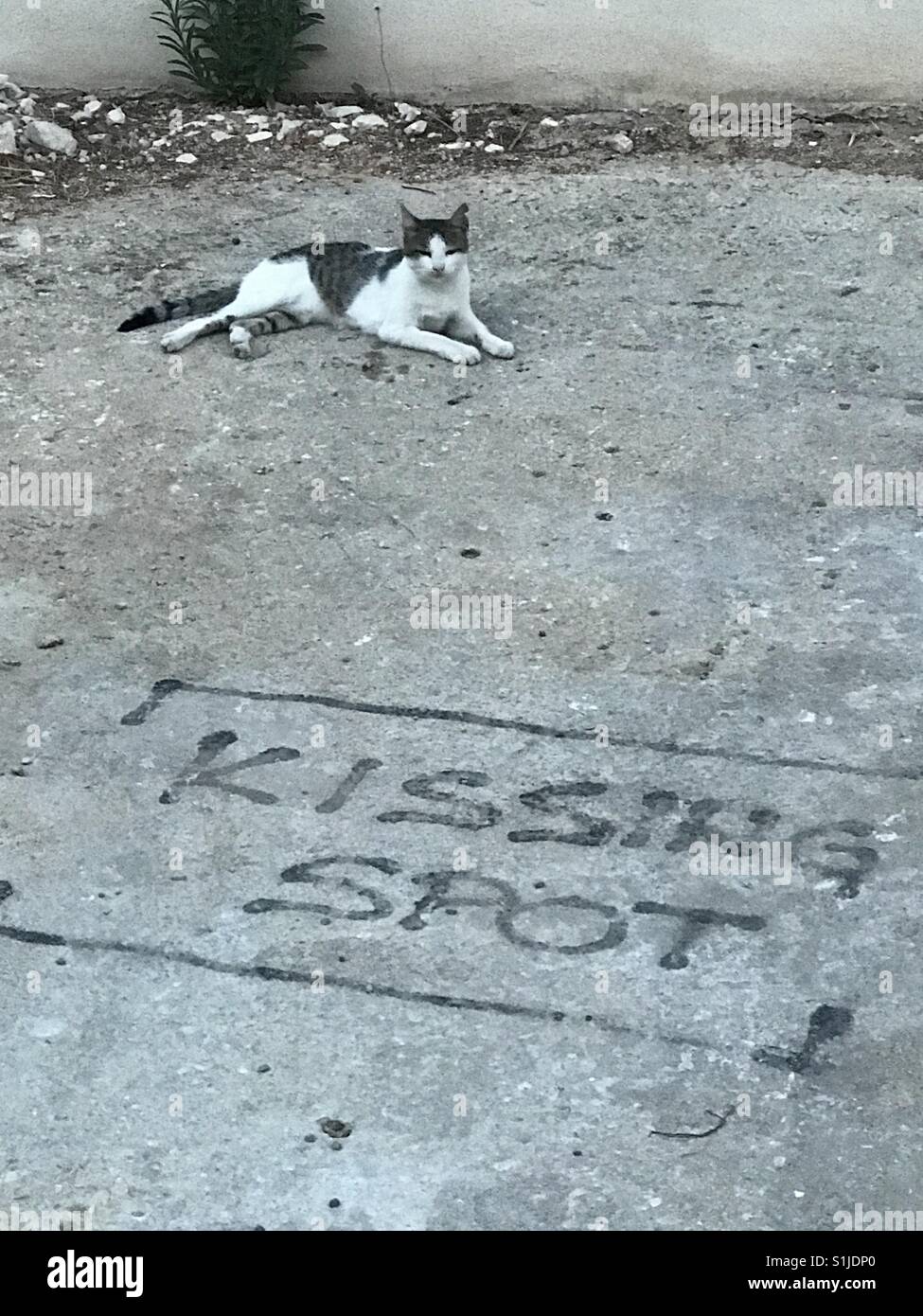 SPLIT, Kroatien - Spot aber niemand zu küssen zu küssen - Smartphone-aufgenommenes Stockfoto