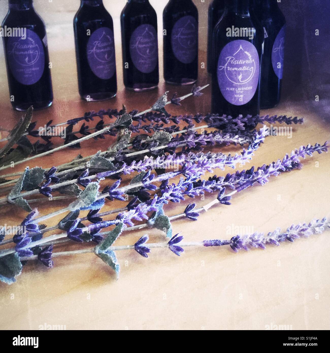 Frisch geschnittene Lavendelblüten in der Nähe von Flaschen mit ätherischen Ölen Stockfoto