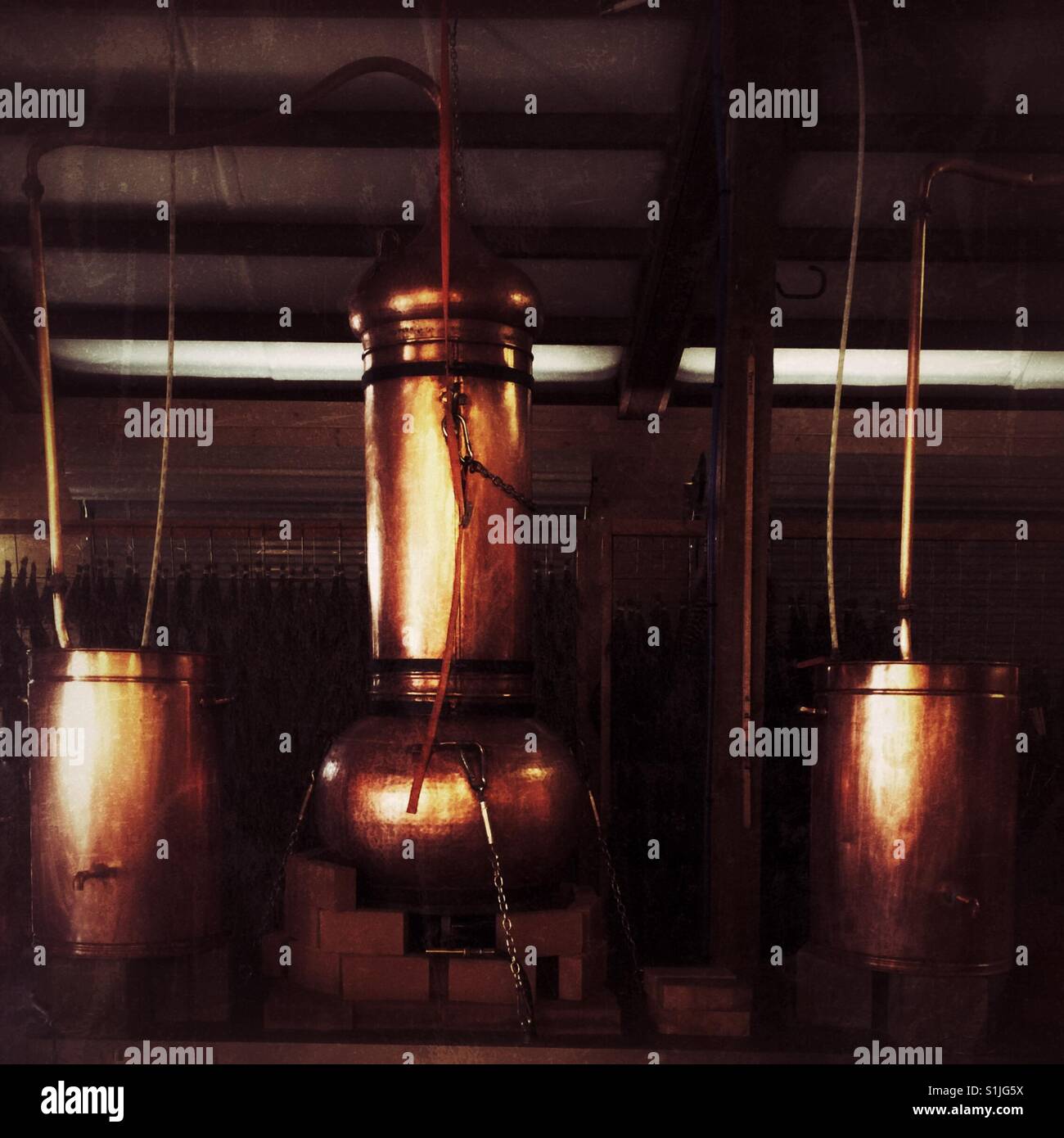 Kupfer-Destillerie zum Extrahieren von Lavendelöl in der Scheune auf einer Lavendelfarm in der Nähe von Spokane, WA Stockfoto