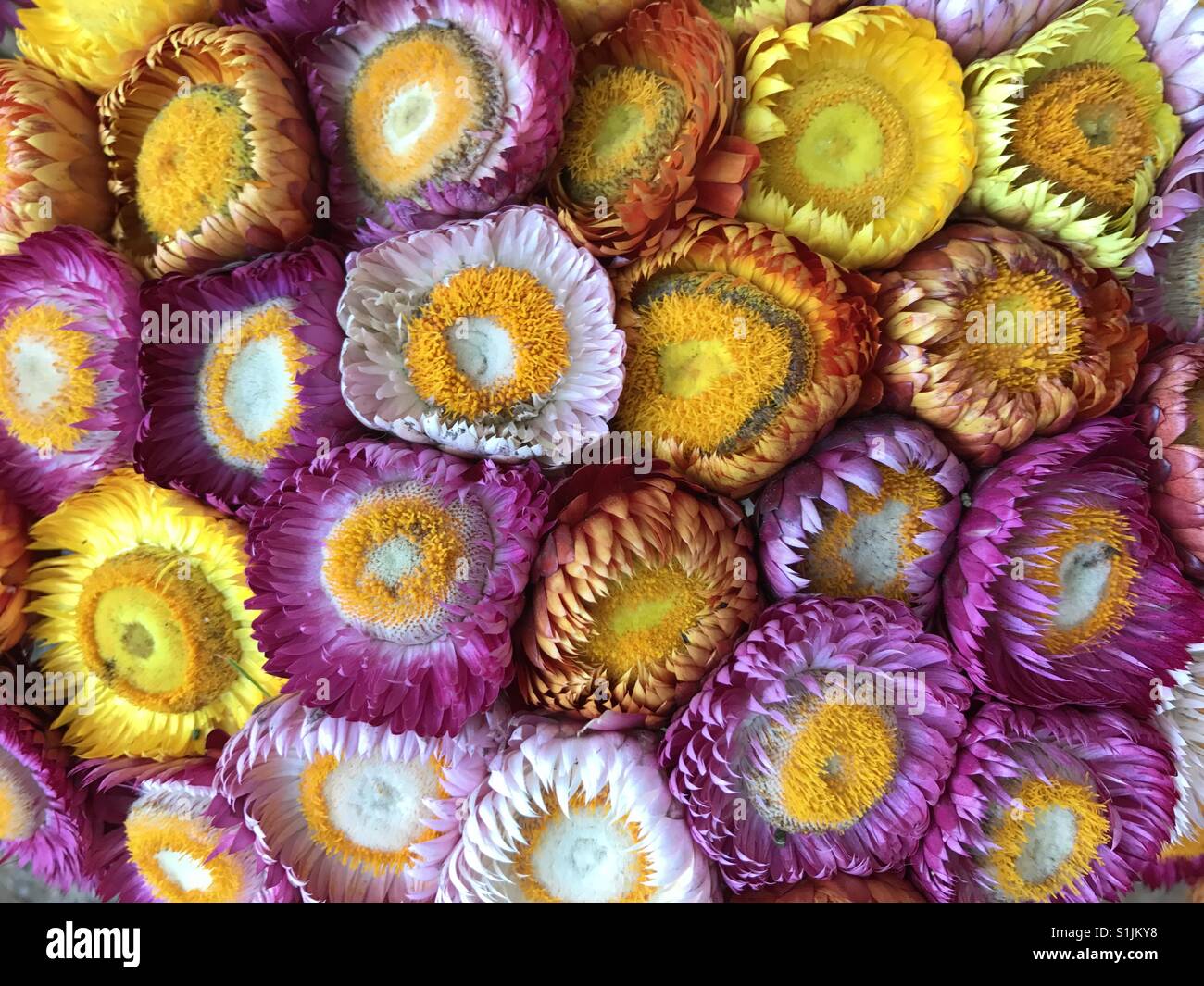 Stroh Blumenstrauß Stockfoto