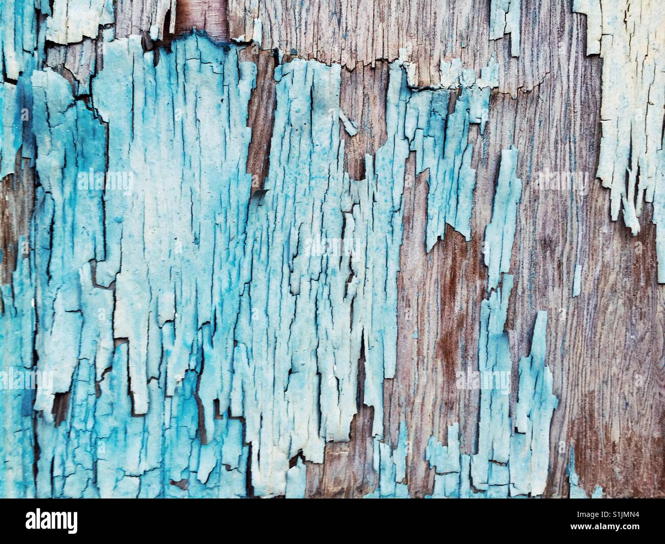 Texturierte peeling Flocken Türkis Farbe auf Holzplatte Stockfoto