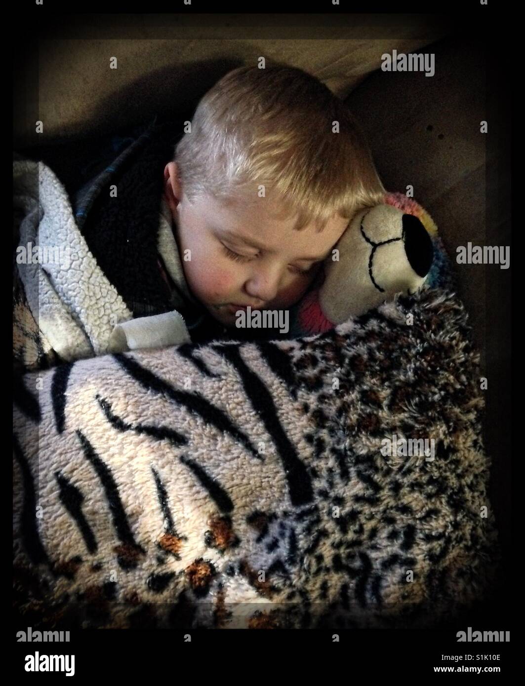 Kleiner Junge kuschelt mit Stofftier während in Decke schlafen Schmusen Stockfoto