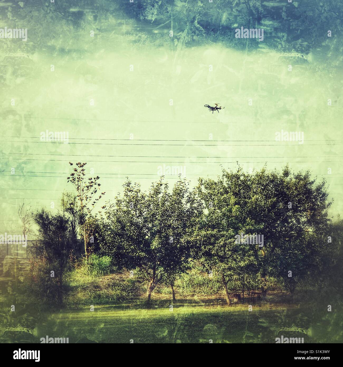 Drohne fliegen über eine grüne Wiese und Bäume, die Vermeidung von Stromleitungen Stockfoto