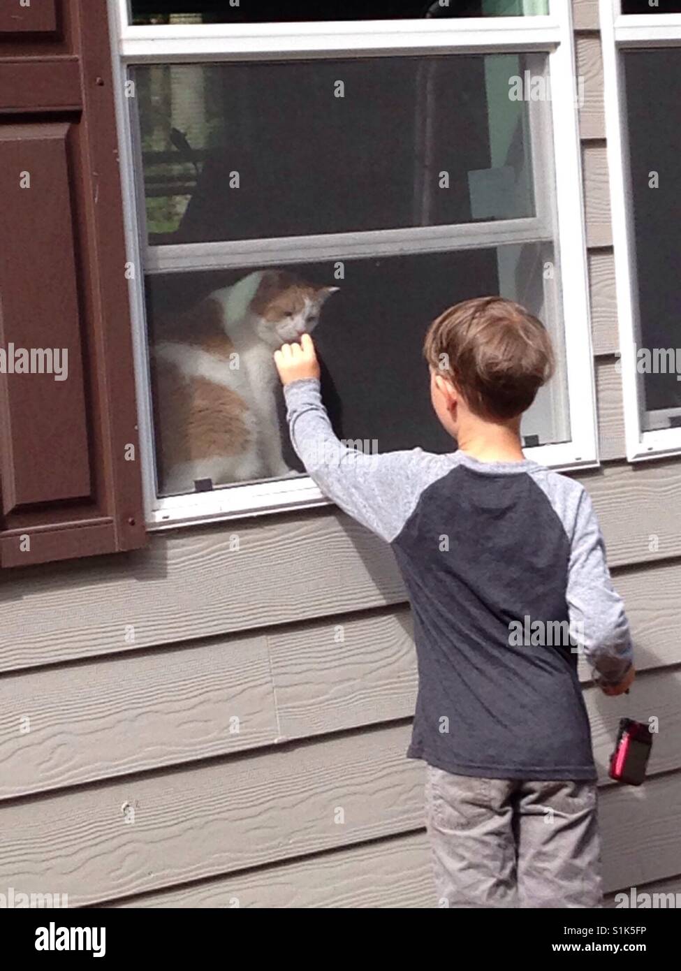 Junge sagt "Hallo" an eine Katze durch einen Fenster-Bildschirm Stockfoto