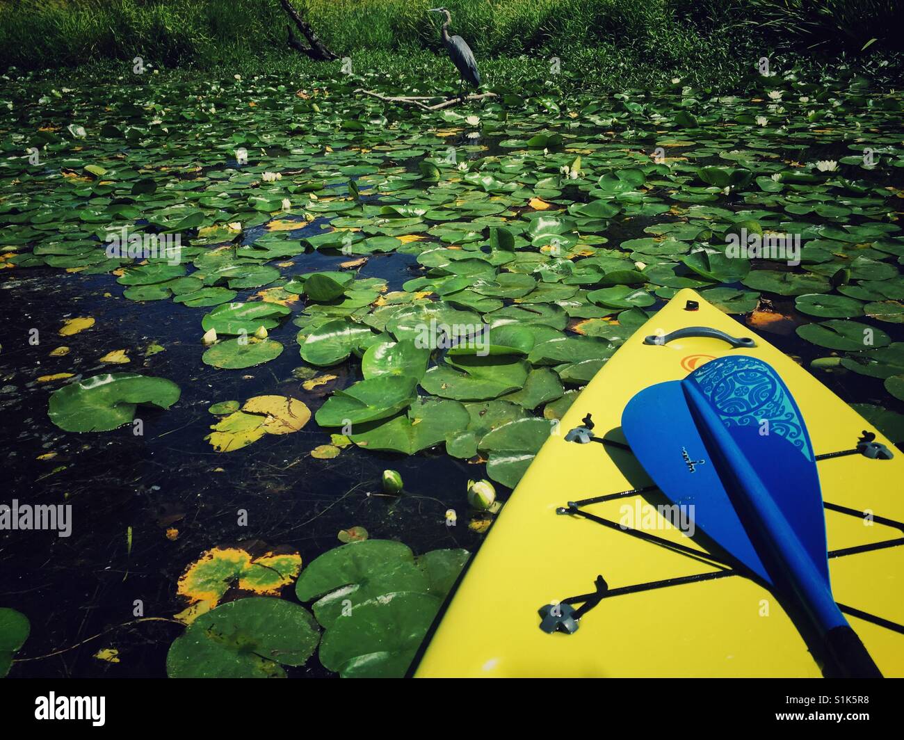 Die Freude der Paddling Stockfoto