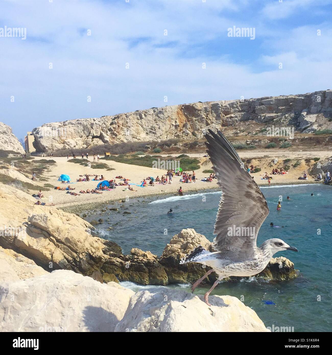 Île de Frioul Marseille Frankreich - Smartphone-aufgenommenes Stockfoto