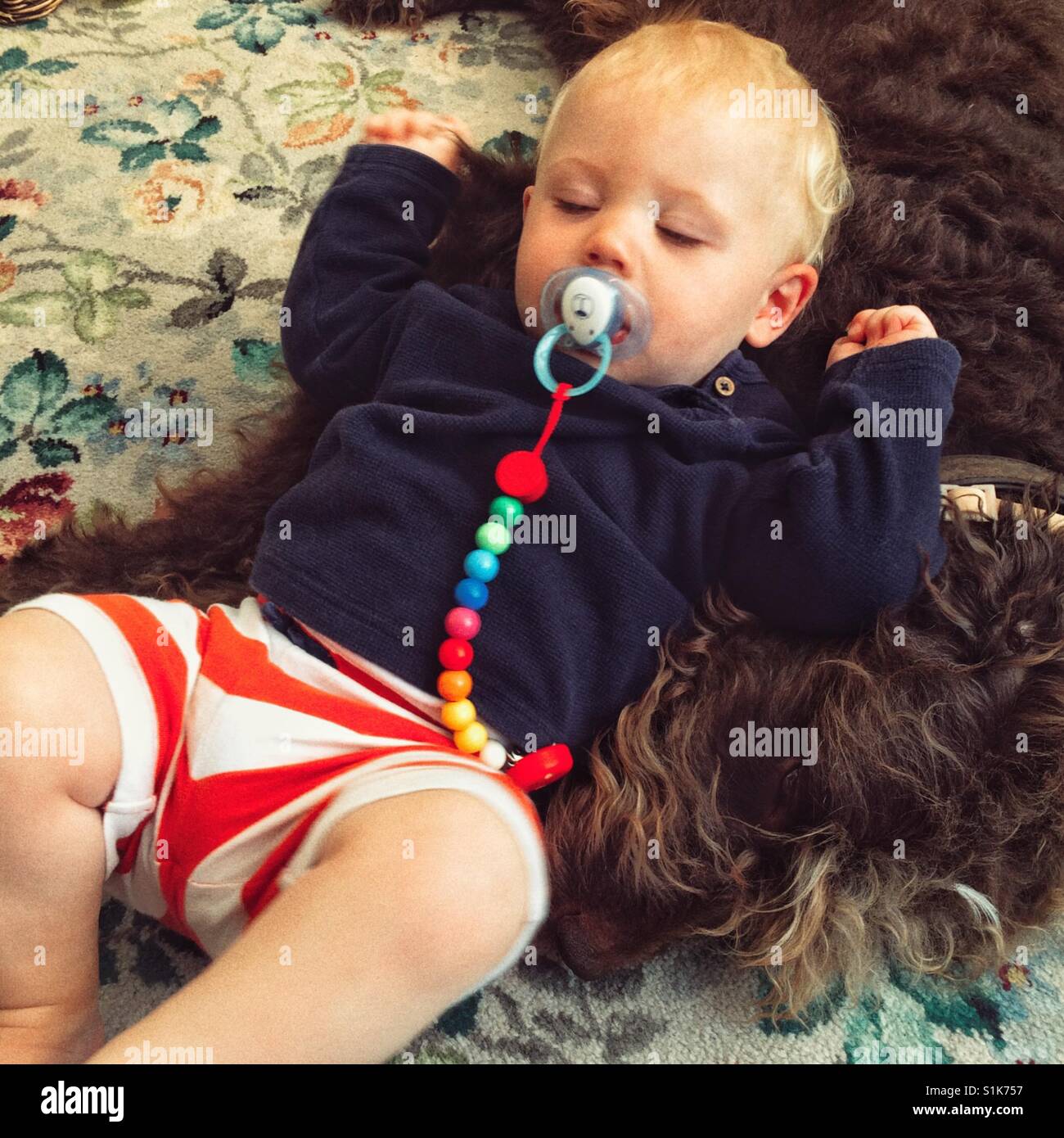 Elf Monate altes Babyjungen schlafen neben eines braunen Labradoodle Hundes. Stockfoto