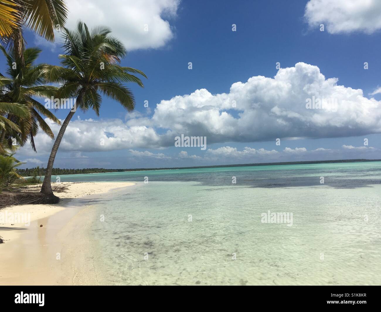 Paradiesstrand Dominikanische Republik Stockfoto