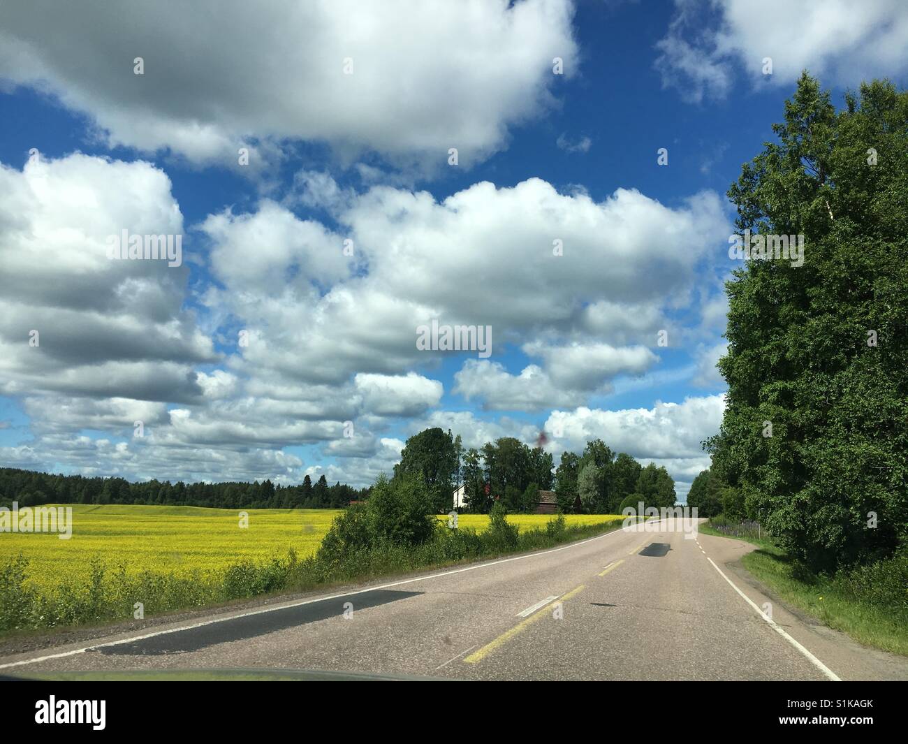 Sommer in Finnland ist süß und grün. Stockfoto