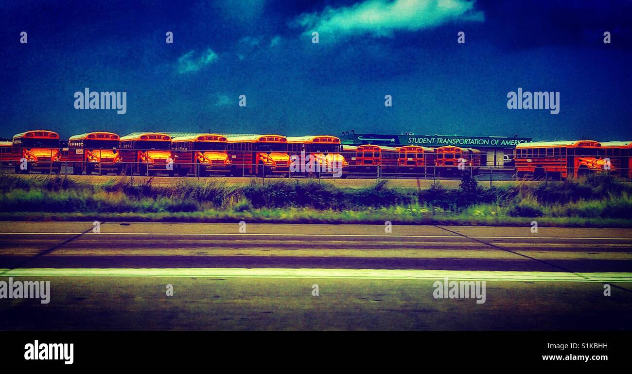 Schulbussen aufgereiht Stockfoto