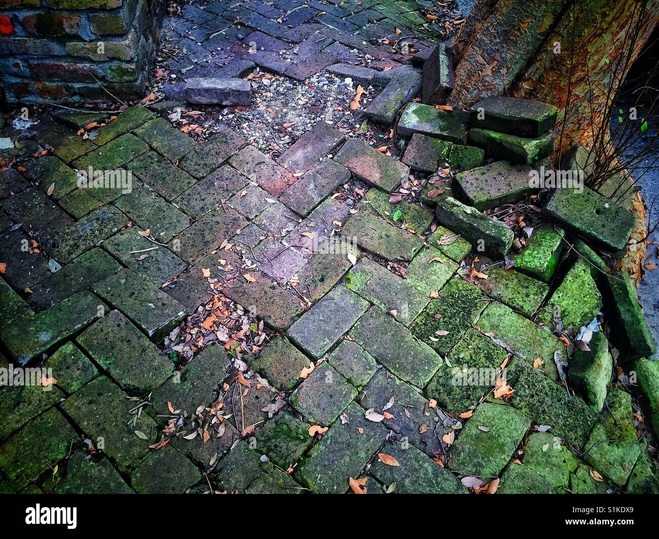 Alte Ziegel Bürgersteig in New Orleans Stockfoto