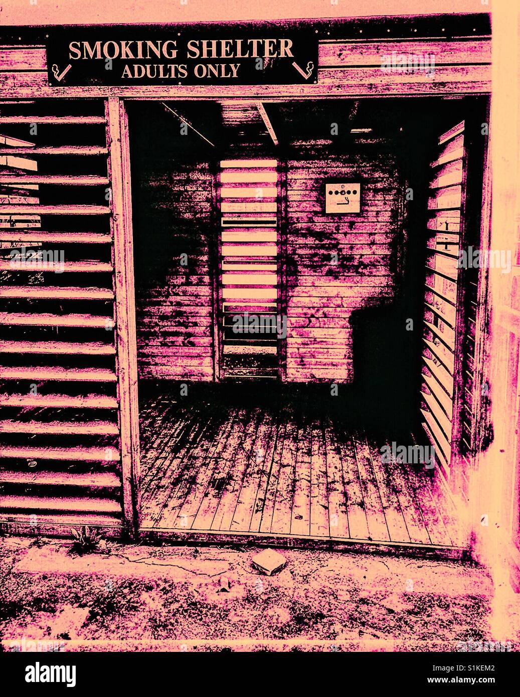 Rosa im Freien rauchen Tierheim - Smartphone-aufgenommenes Stockfoto