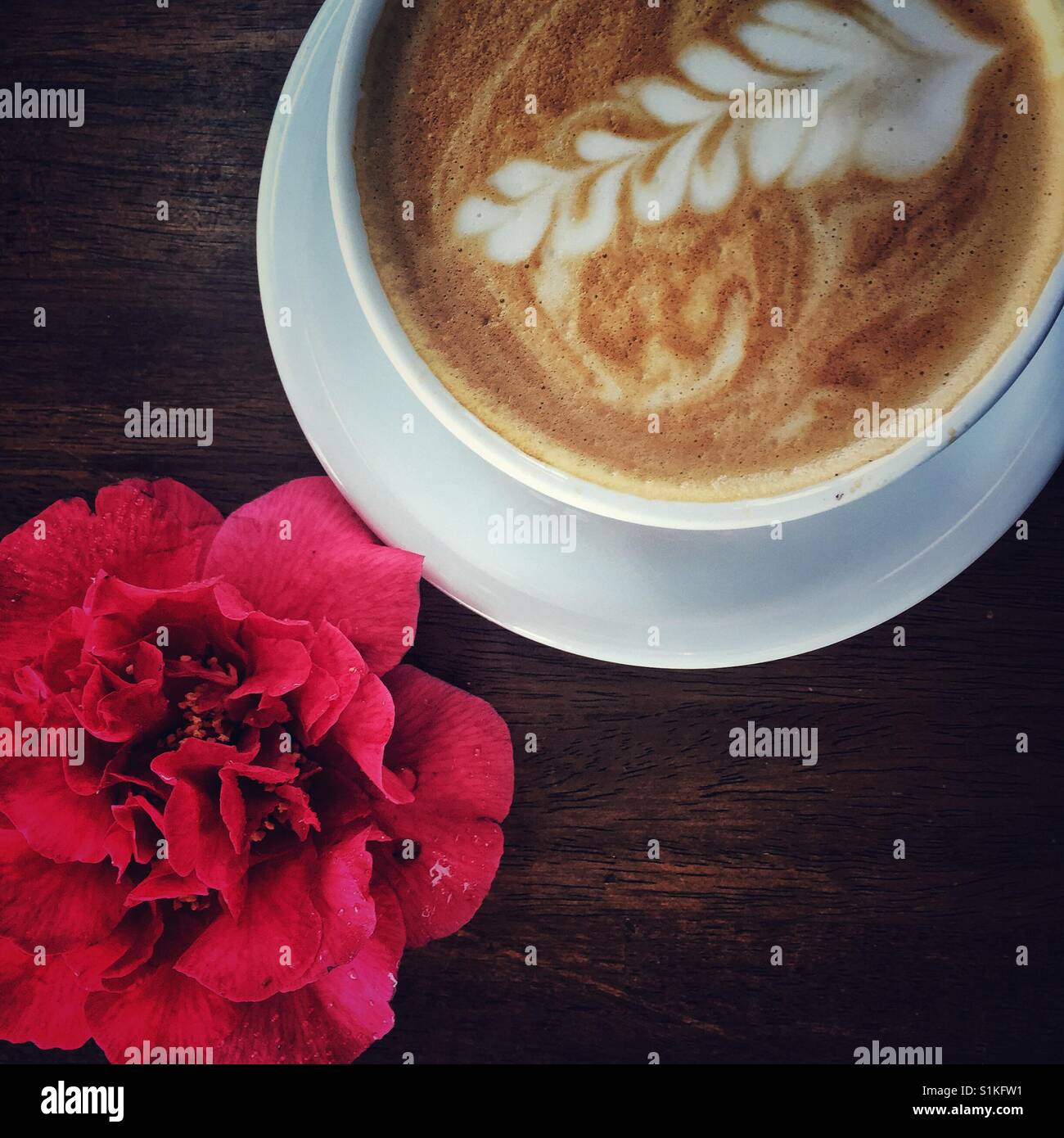 Tasse Cappuccino mit Artsy Design auf den Schaum und Kamelien blühen auf dem Tisch Stockfoto