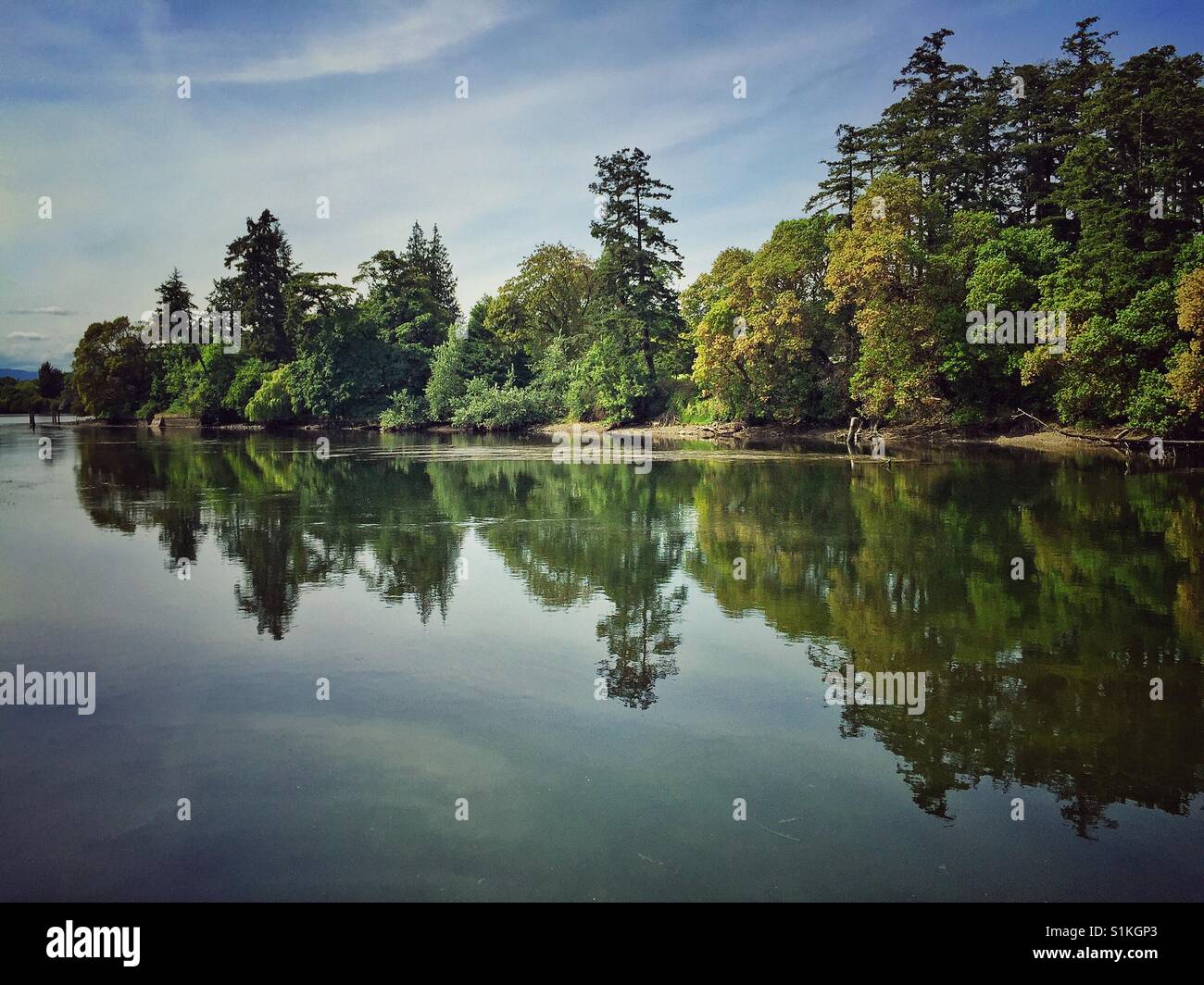 Friedliche Reflexion Stockfoto