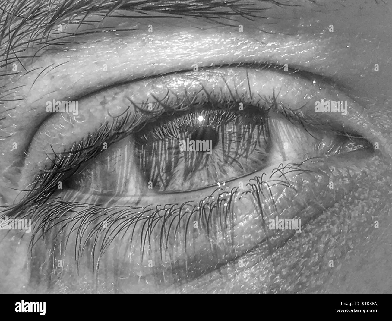 Menschliches auge detail Schwarzweiß-Stockfotos und -bilder - Alamy