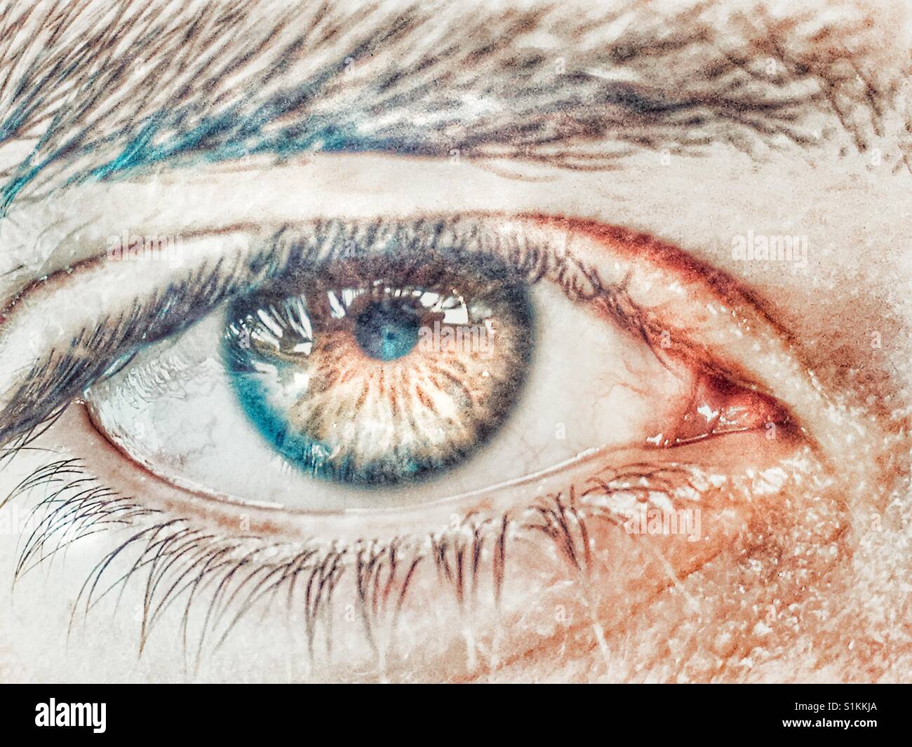 Menschliches Auge, Nahaufnahme Stockfoto