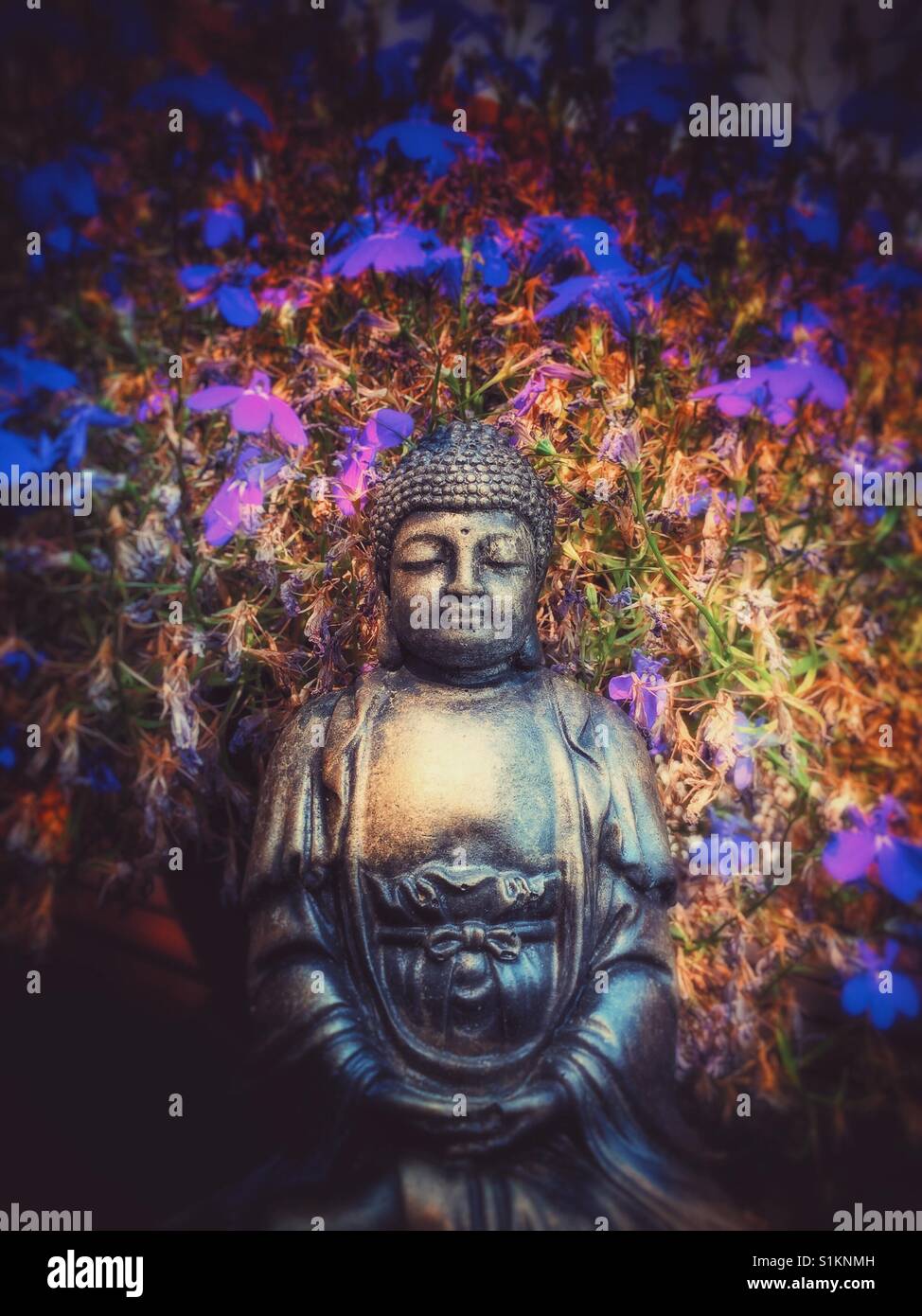 Garten Buddha Statue sitzend mit Lobellia Pflanze. Stockfoto