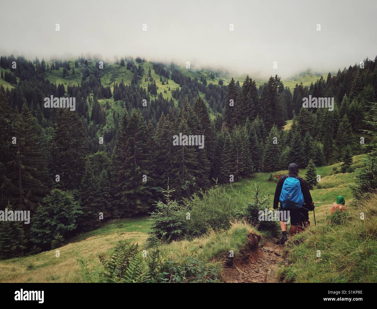 Die Rückseite eines Menschen wandern in die unteren Regionen der Deutschen Alpen Stockfoto