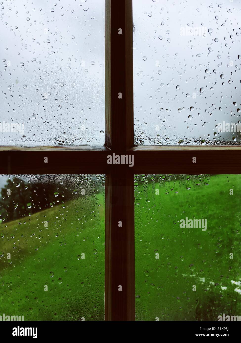 Gitterfenster mit Regentropfen bei Sommerregen - Smartphone-aufgenommenes Stockfoto