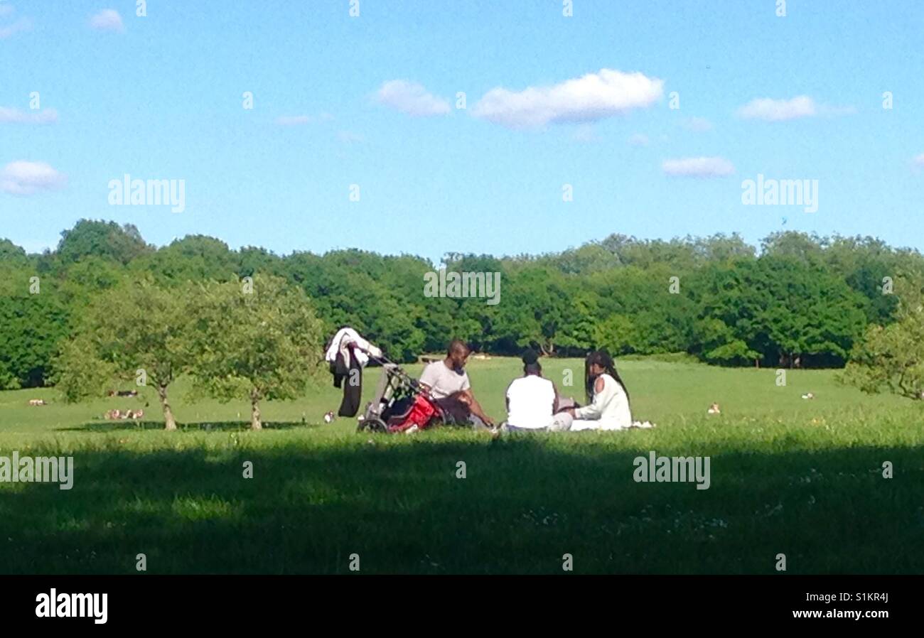 Familie mit einem Picknick in Südlondon gemeinsame Stockfoto