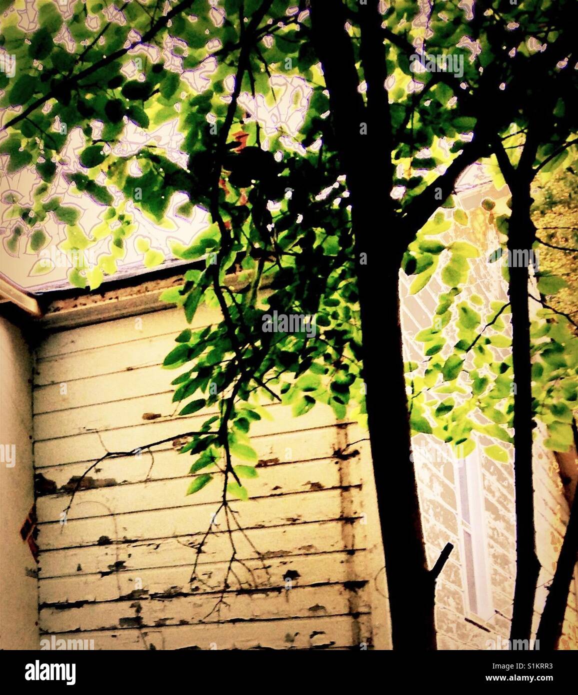 Weiße Chippy Haus mit hellen Blätter im Sommer morgens Sonne - North Carolina - Smartphone-aufgenommenes Stockfoto