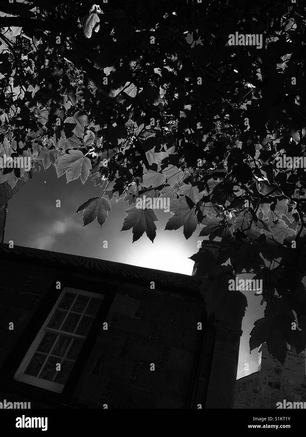 Haus und Licht Stockfoto