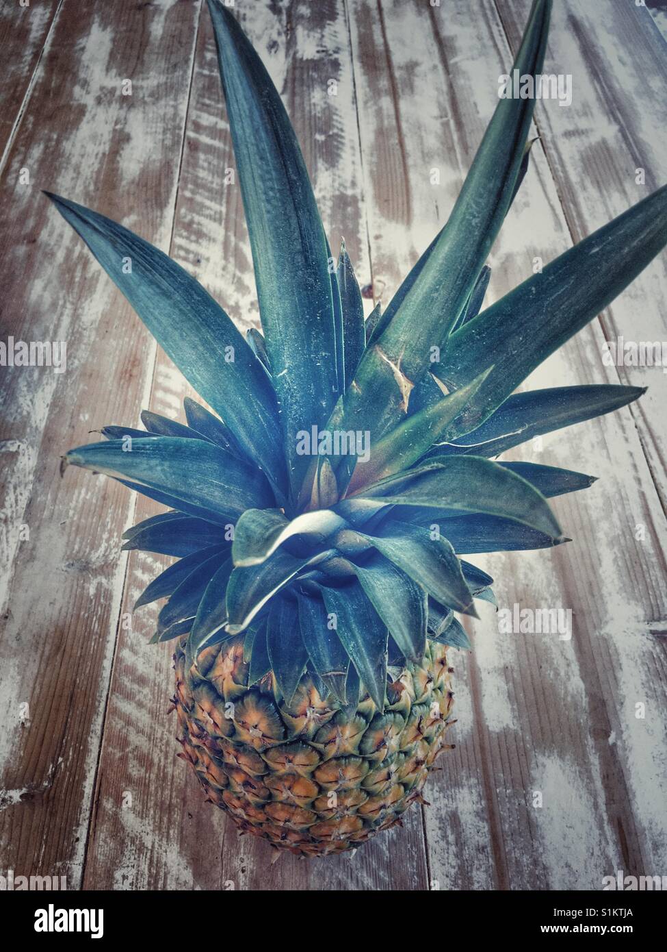 Ananas auf eine Tischplatte - Smartphone-aufgenommenes Stockfoto