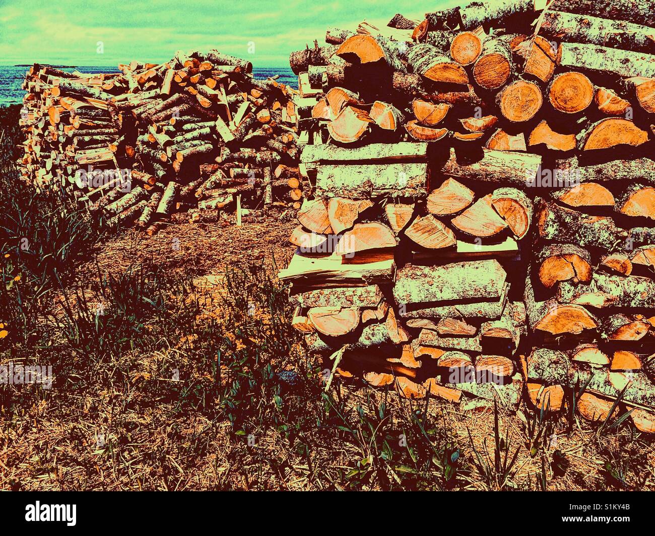 Cut Protokolle aufgetürmt, Neufundland, Kanada - Smartphone-aufgenommenes Stockfoto